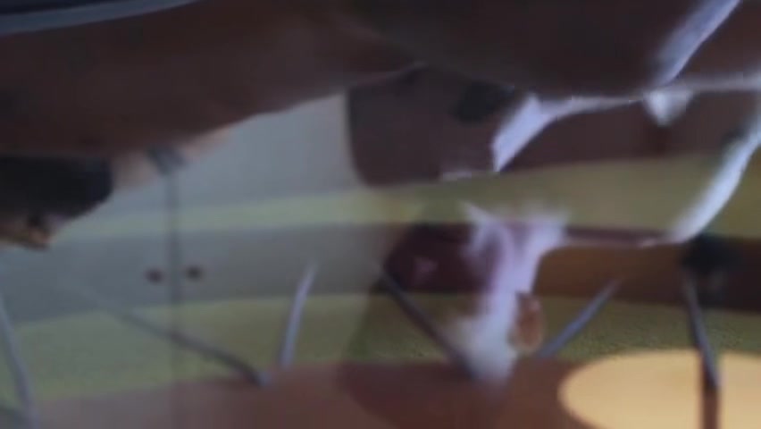 Crazy Adult Movie Gay Big Dick Exotic , Take A Look