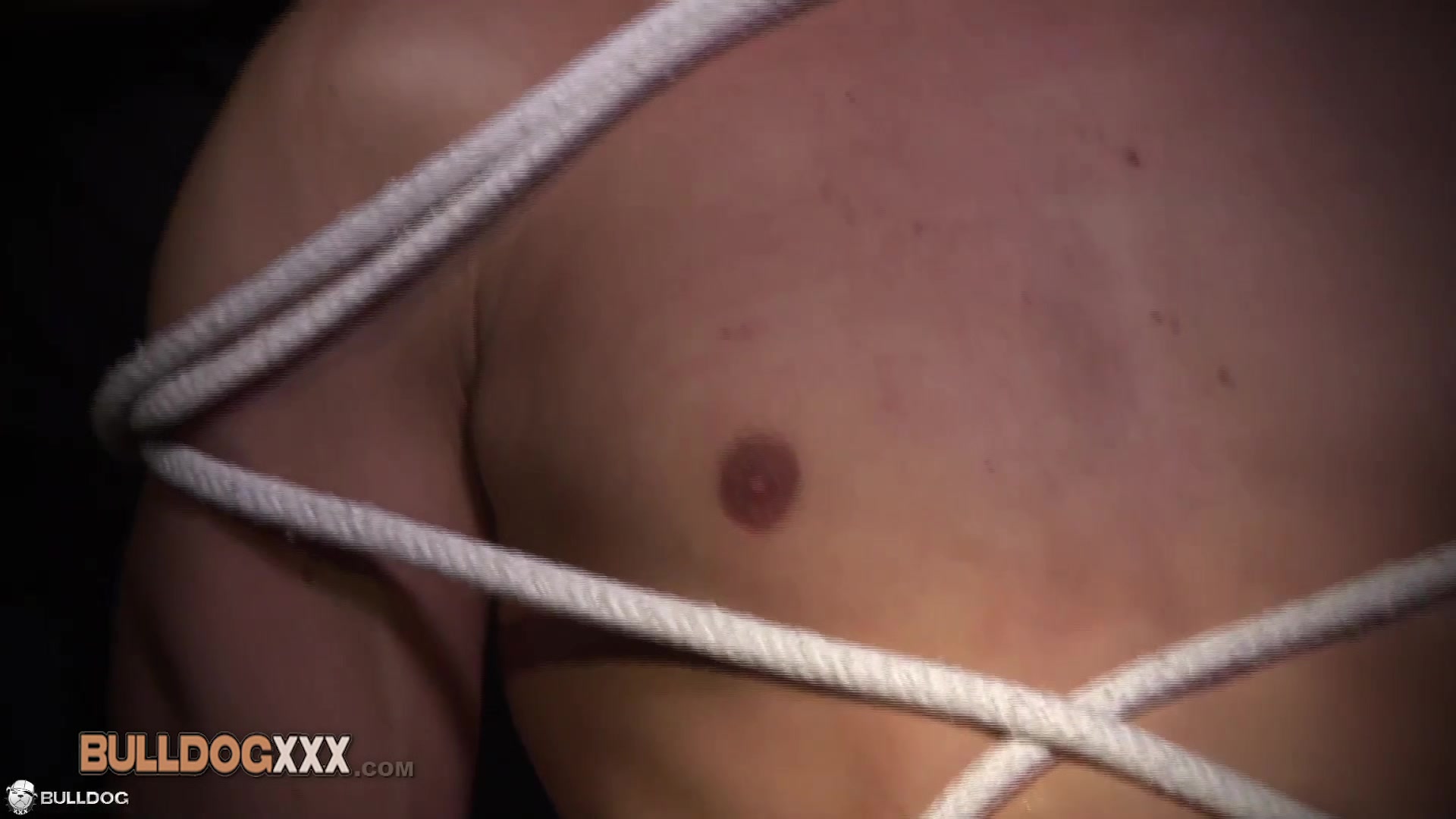 BullDogXXX.com - The Clown & Torean