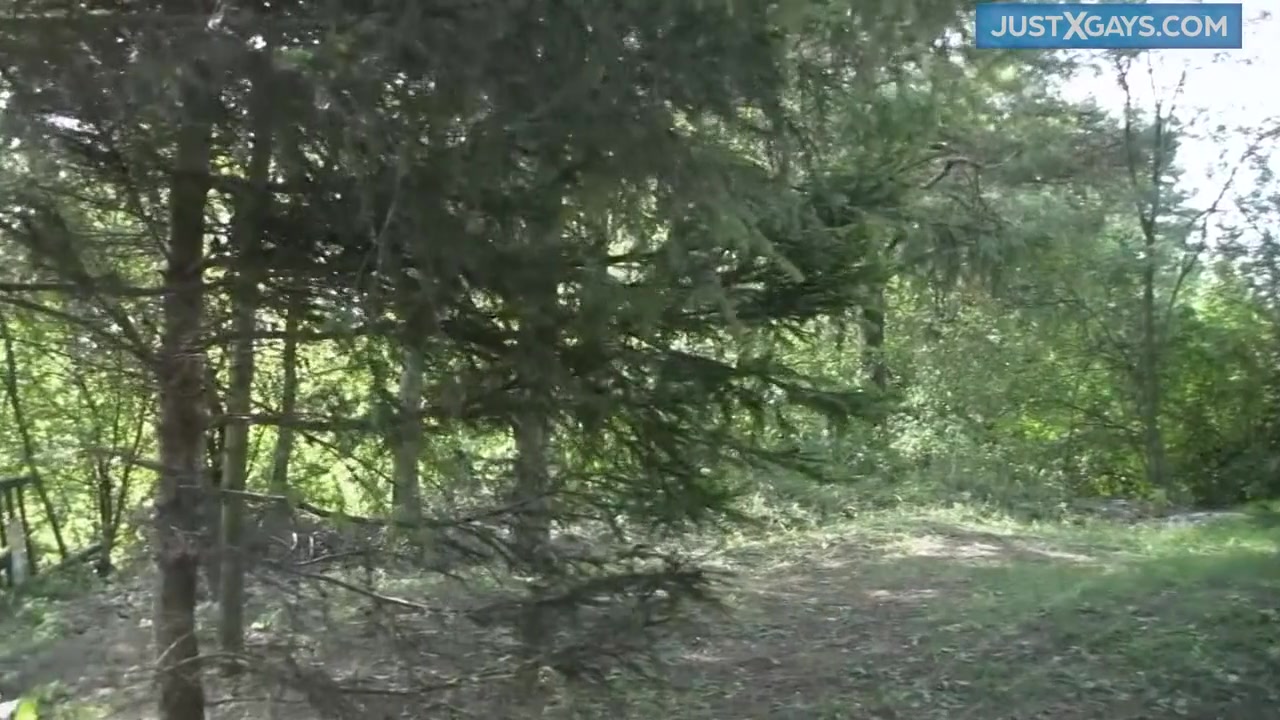Gay Ass Compilation