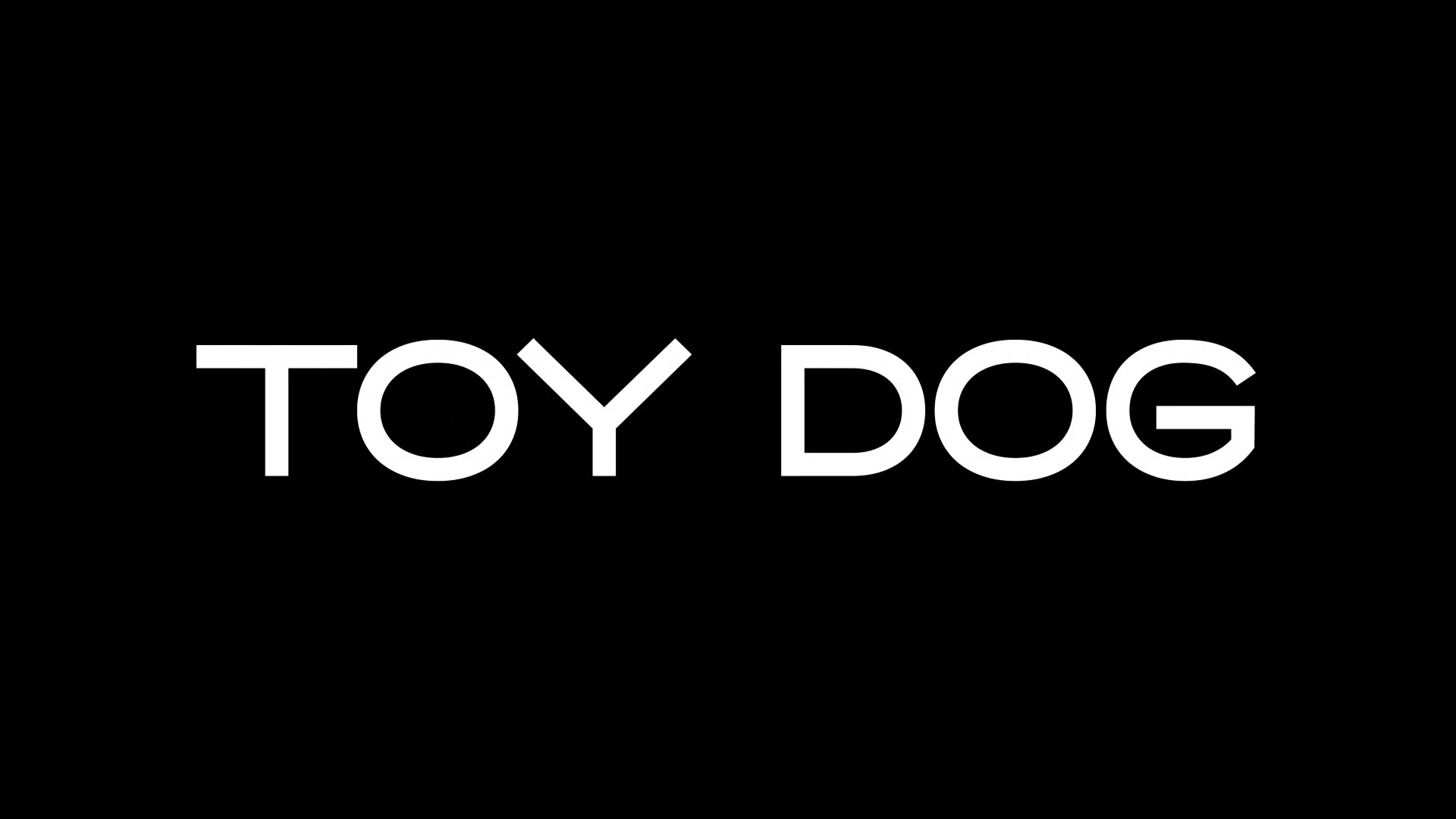 Toy Dog