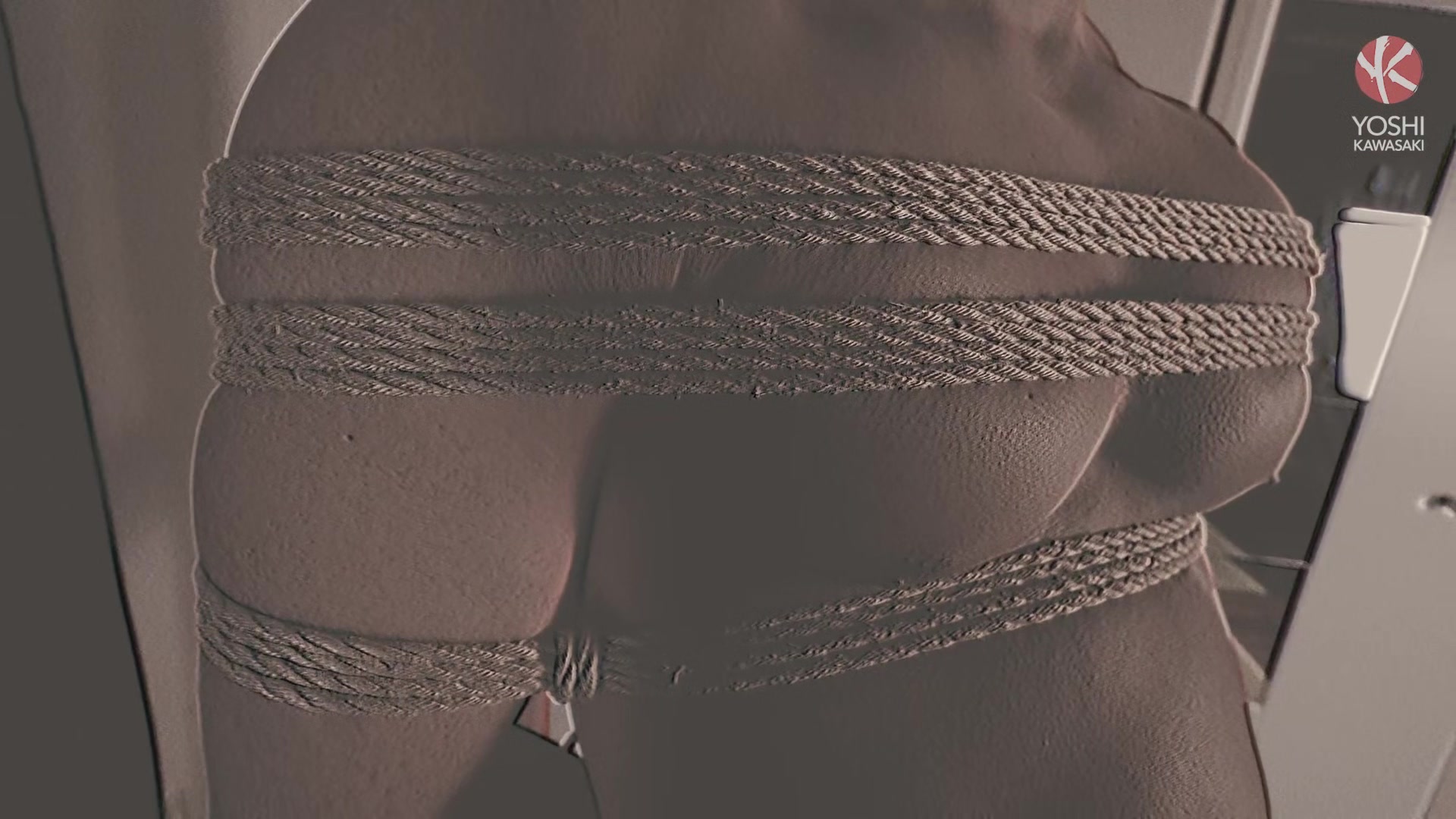 Kinbaku -Crucification-