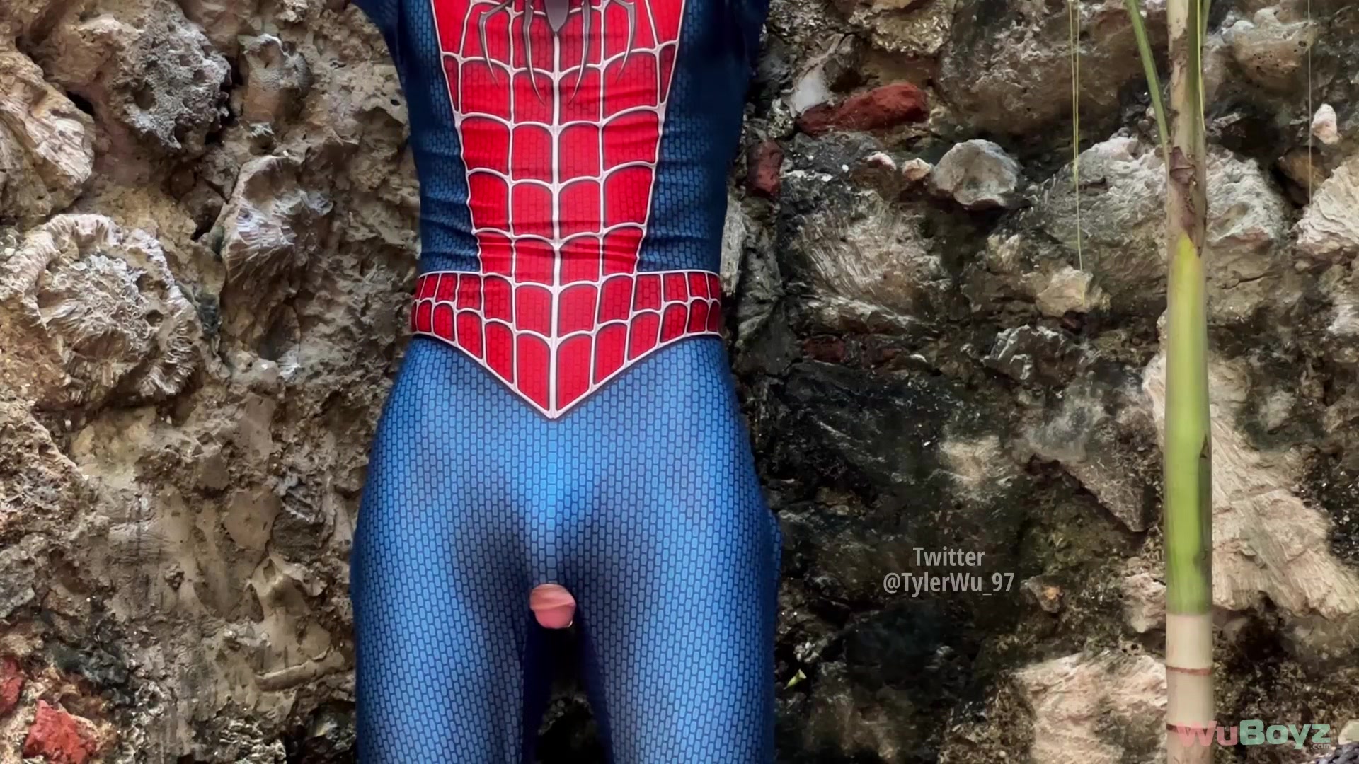 Shoot and Swallow