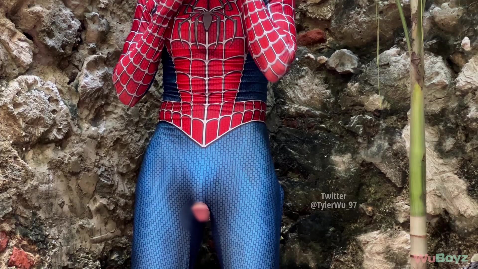 Shoot and Swallow
