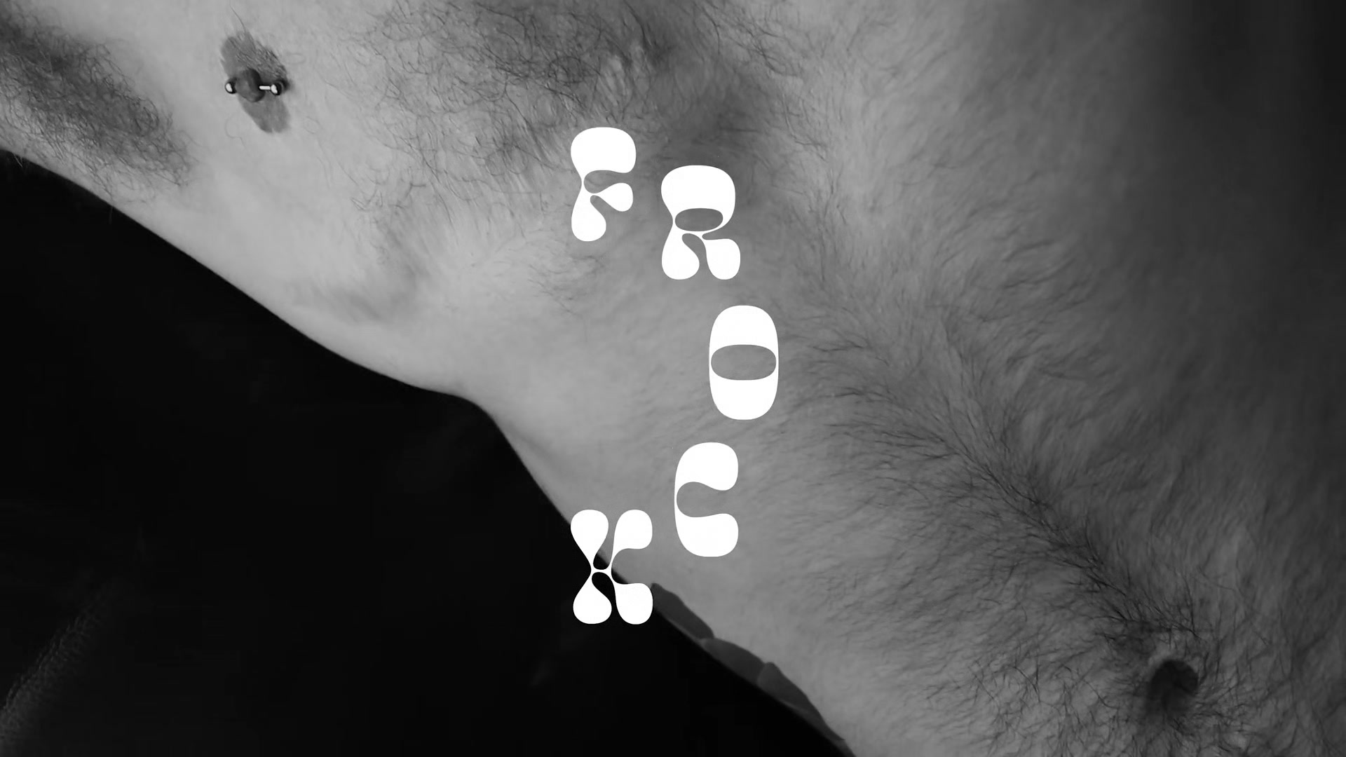 Ari Koyote
