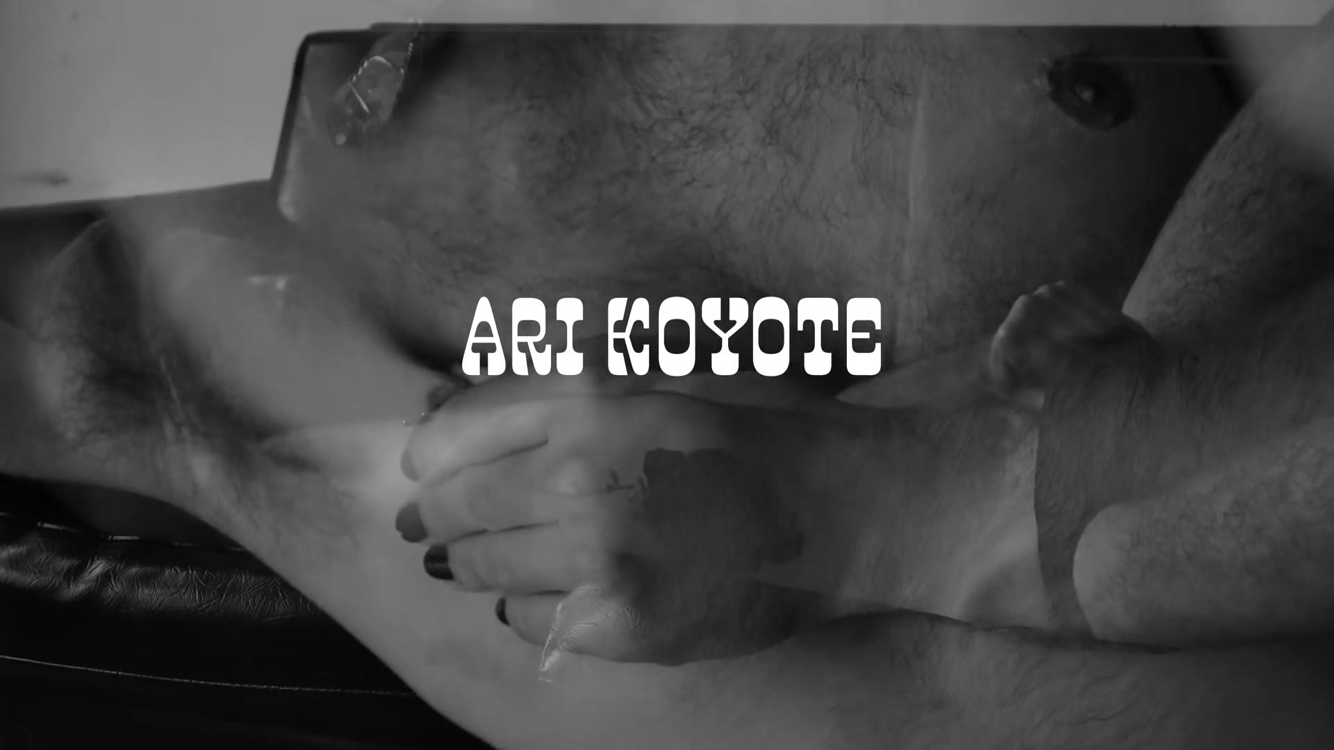 Ari Koyote