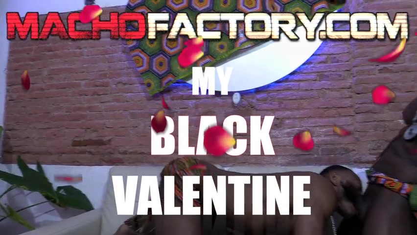 Chocolate for Valentine's Day. - Black Breeding Valentine