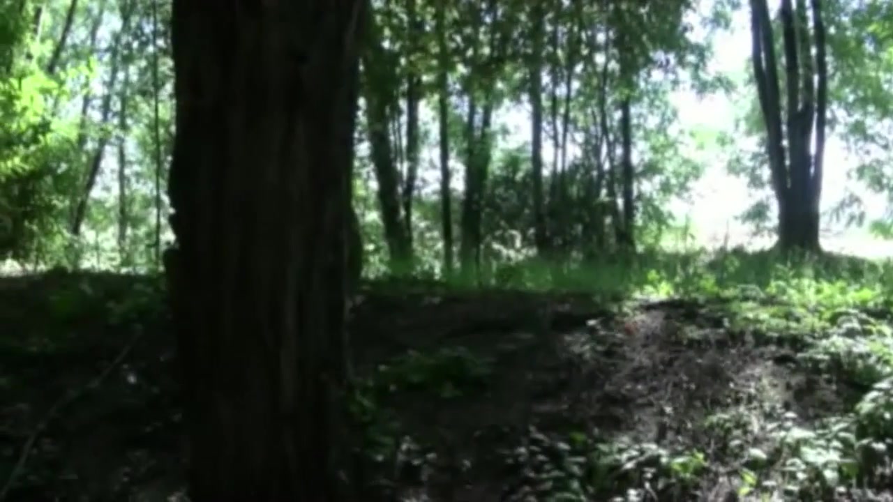 Twink fucked by Stany Falcone in cruising forest - CrunchBoy