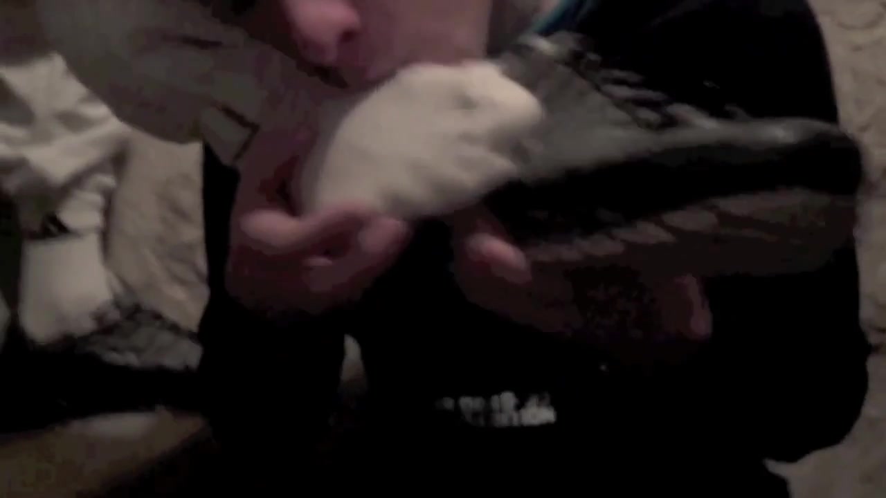 Fabien fucked by Arab XXL cock, Lyam - CrunchBoy