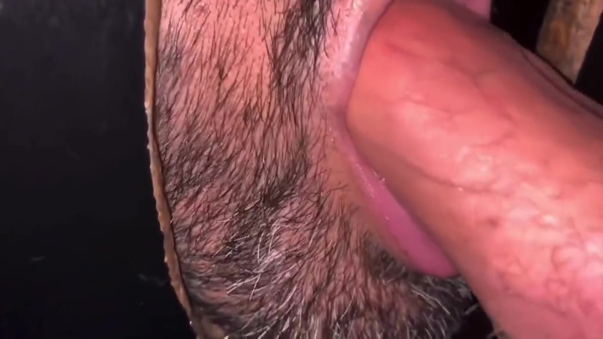 Just Call Me Henry: Glory Hole Compilation