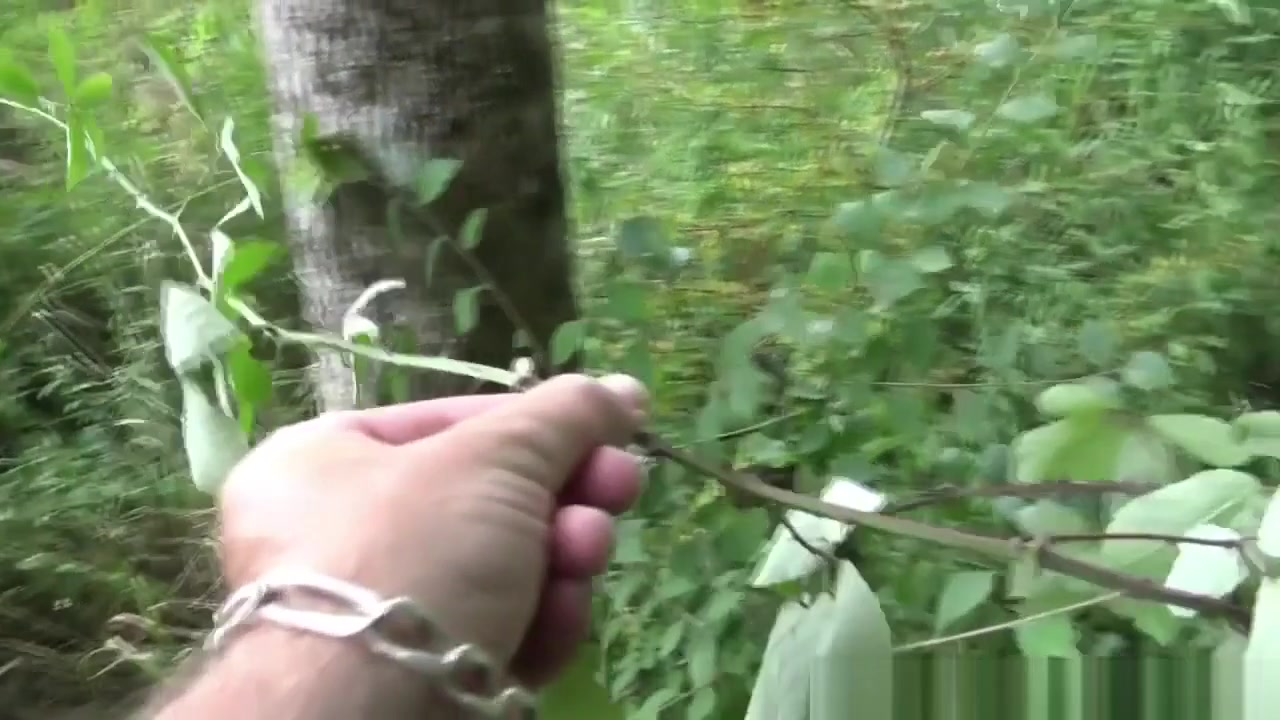 Juan Perez used raw in exhibit forest cruising by top ebony - PrivateClubBigCock
