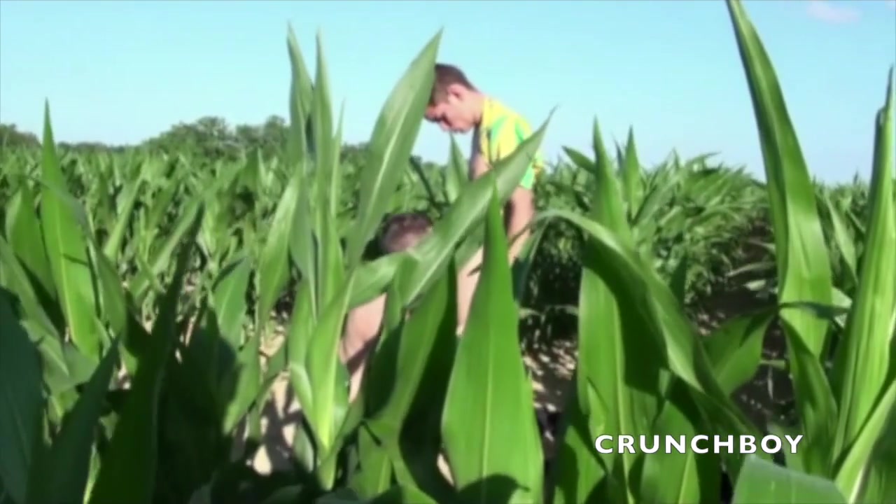 Slut fuccked by French twink in exhib corner field - CrunchBoy