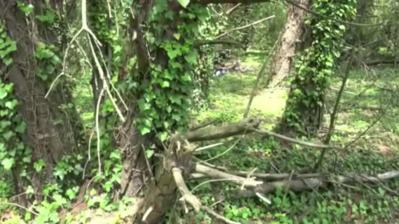 Slut Used With Fist In Exhib Cruising Outdoor Place - FrenchFuckers