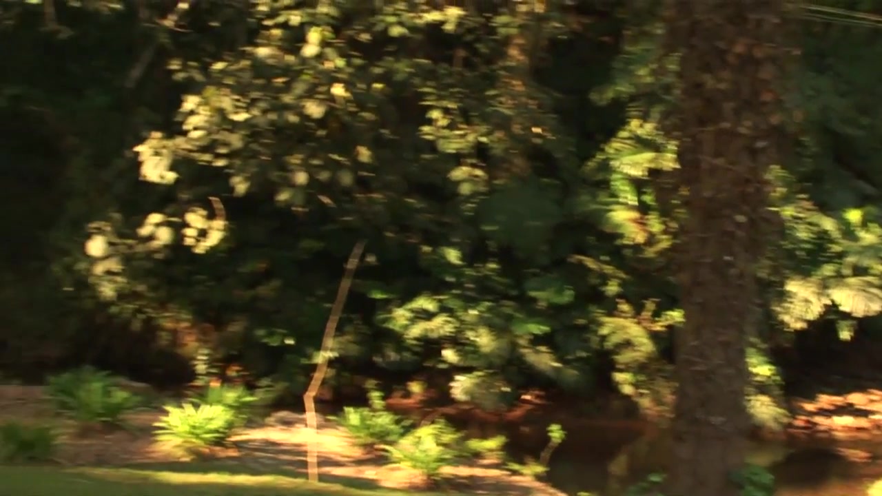 Two Gorgeous Hunks Fuck In The Wood - FemdomAustriaBoys
