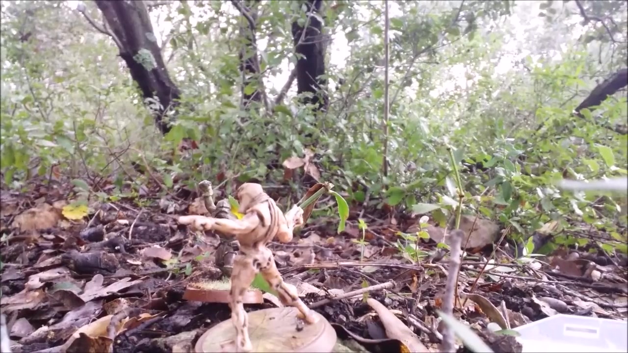Garden Of Eden: 1 (forest Outdoor Naked Boy Dick Pov Mouth Pov Feet)