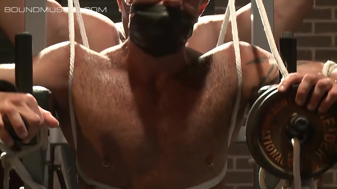 Adam Rogue slides muscle cock in and out of Trace Michaels
