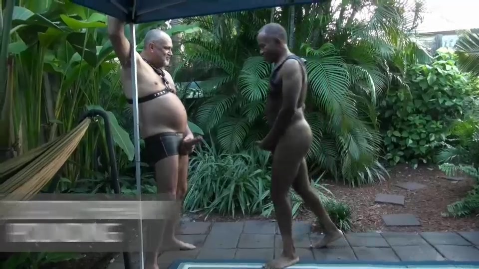 Blacks On Step daddies Gay Sex Movie