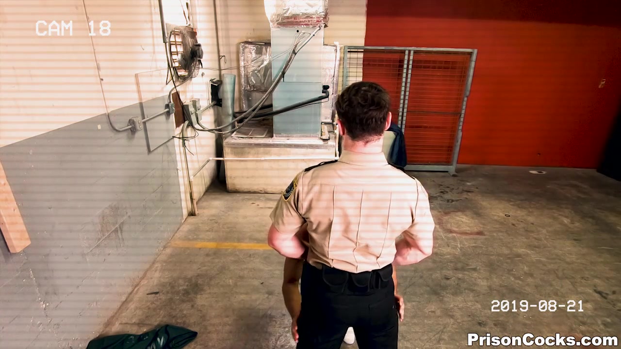 That Bitch Is My Newbie
