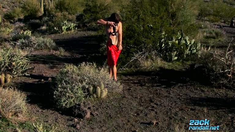 Wanking Out In The Wilderness - Zack Randall