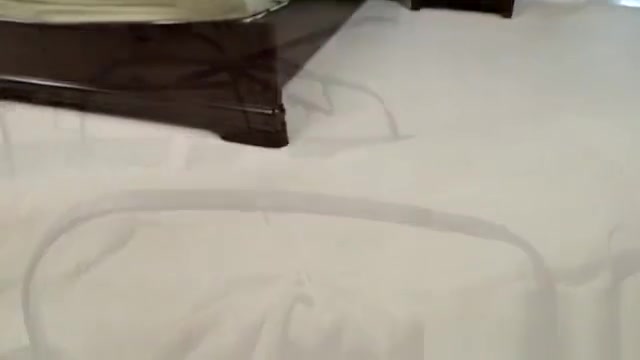 Great pool massage turned into threesome of three horny twink gays