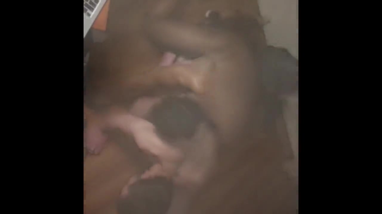 05-2019 Pigging Out in Portland (raw fucking fisting orgy compilation)