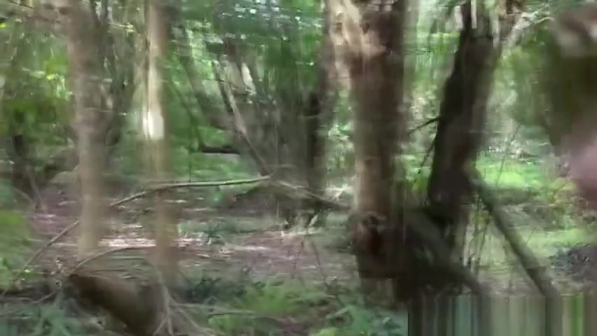 Army gays assfucking and sucking dick