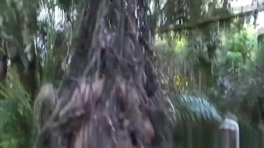 Army soldiers anal orgy during group drills