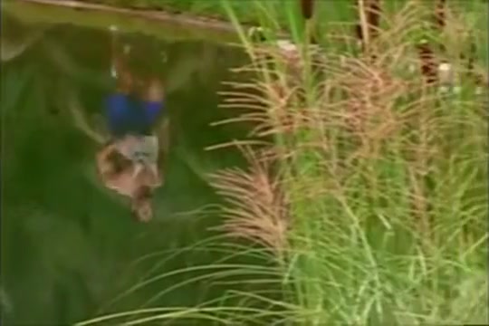 Frank goes for a run and showers