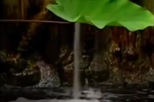 Frank goes for a run and showers