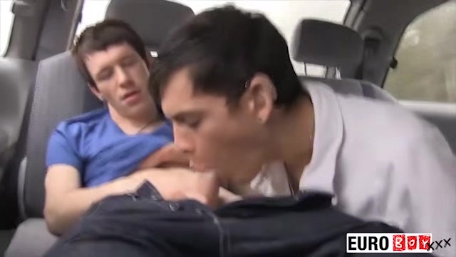 Aaron & Josh Bang Ass Raw In The Car - Aaron & Josh