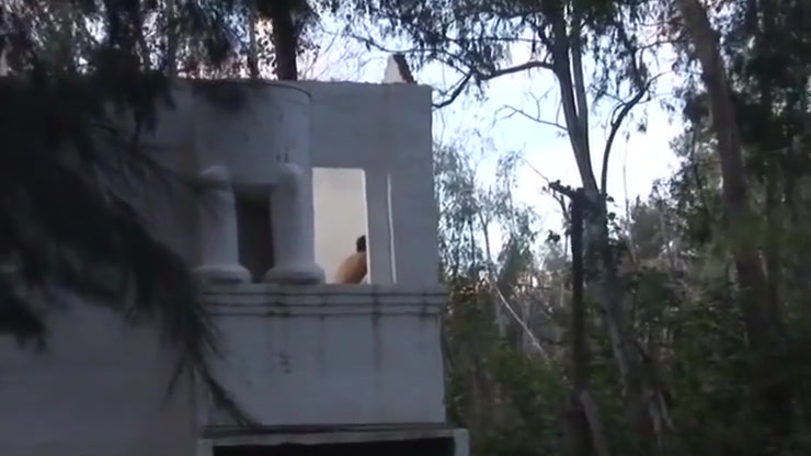 Spanish Army Sluts