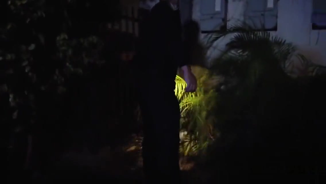 Reality show about gay police officers