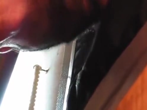 monster cumshot in my private gloryhole