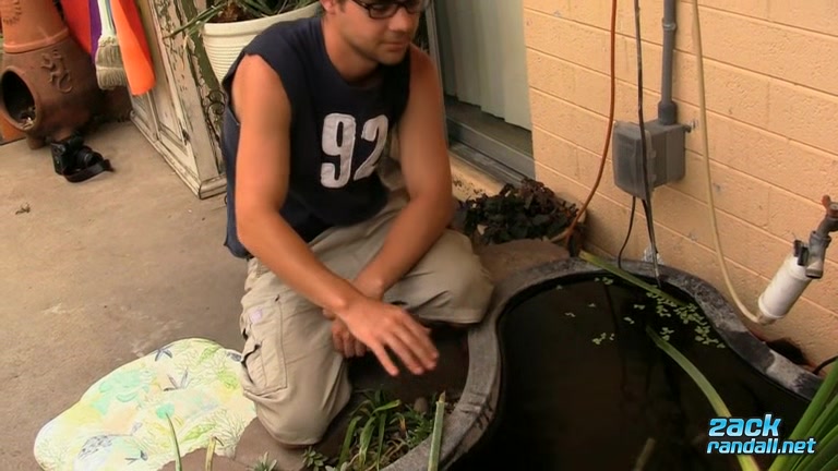 Self Sucking In The Garden - Zack Randall