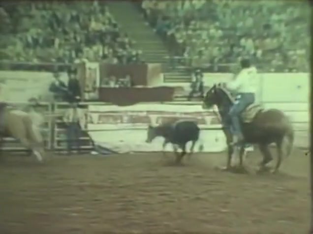 There was a gloryhole at the rodeo - VCA