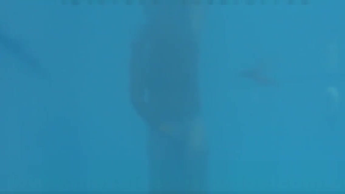 GAY DEEPTHROAT IN POOL by Nudemassage