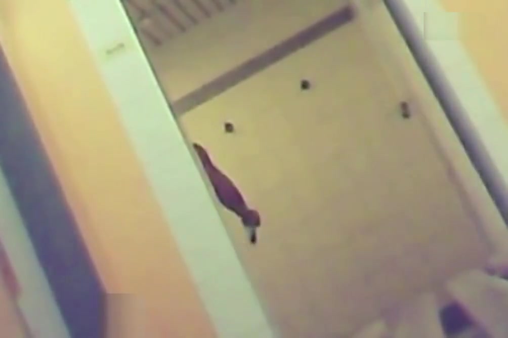 gym shower 16