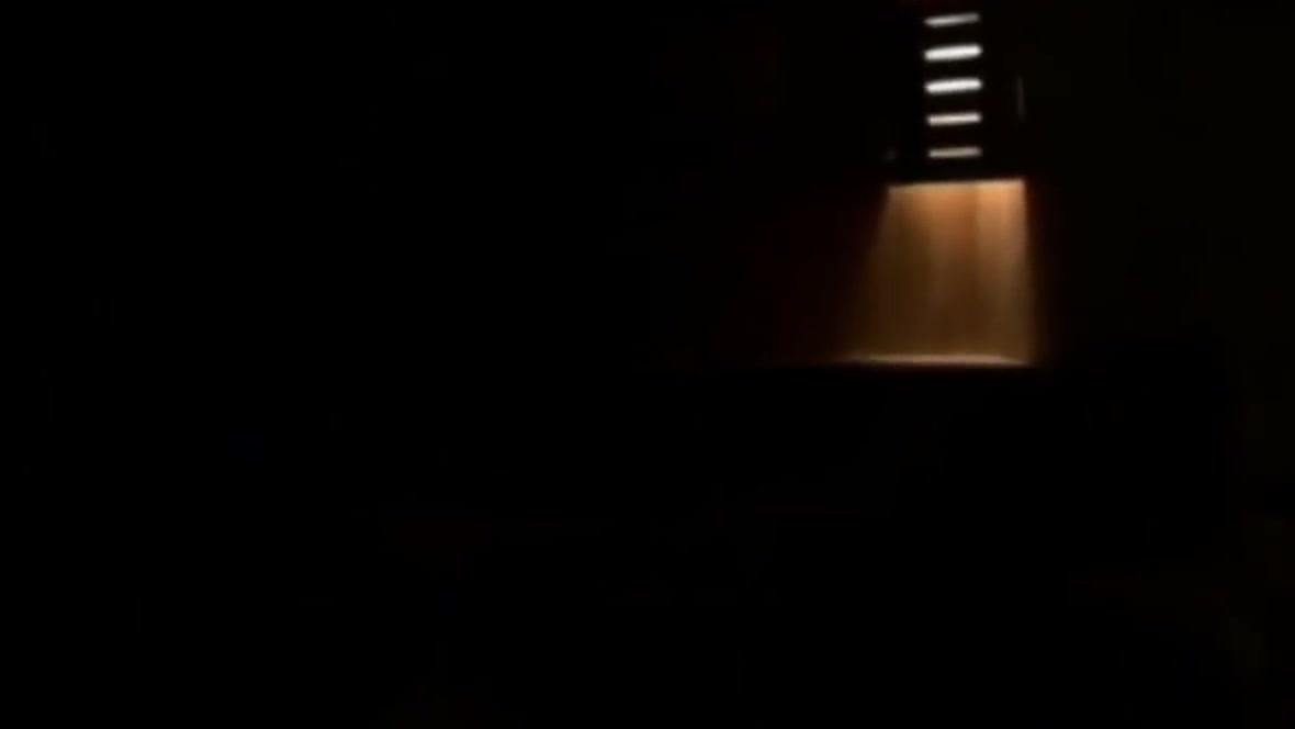 Chubby Gay Bears Fuck in Shower