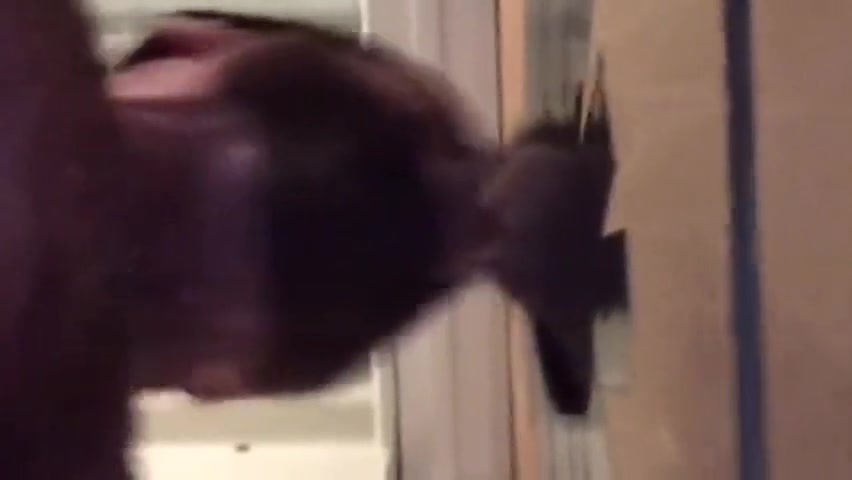 Discreet Big White Cock Serviced at Philly Gloryhole