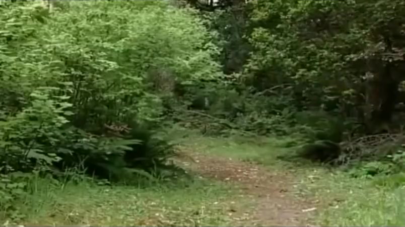 woodsy fisting