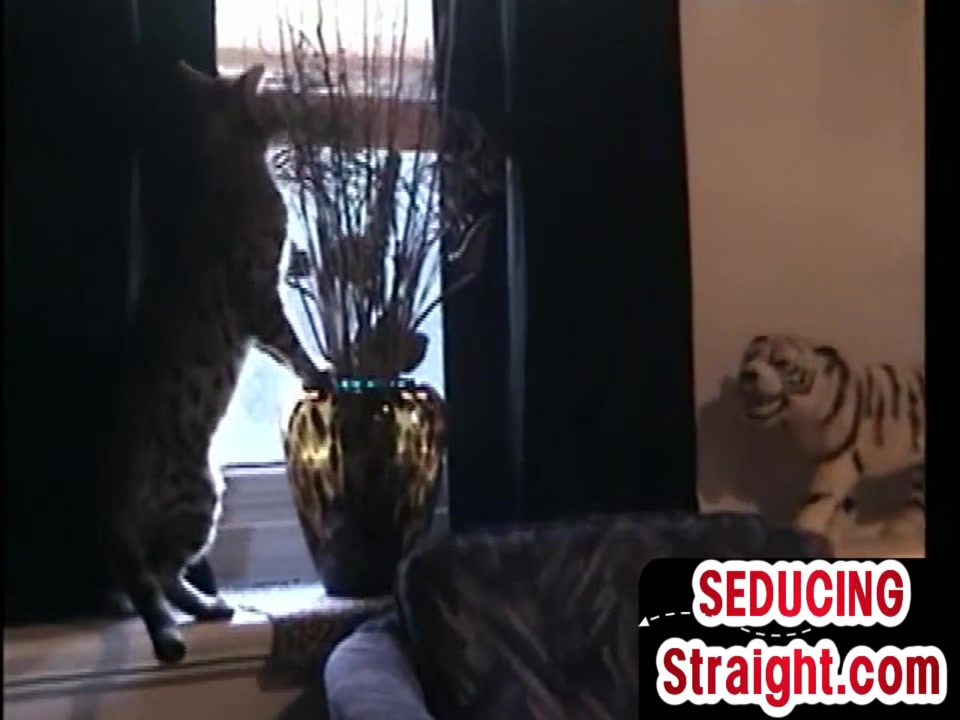 Real str8 twink sucked by gaydaddy at home for 1st time