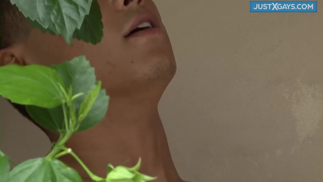Skinny Boy Sucks Two Massive Black Cocks Resulting To Facial Cumshot - JustXGaysAmateurPorn