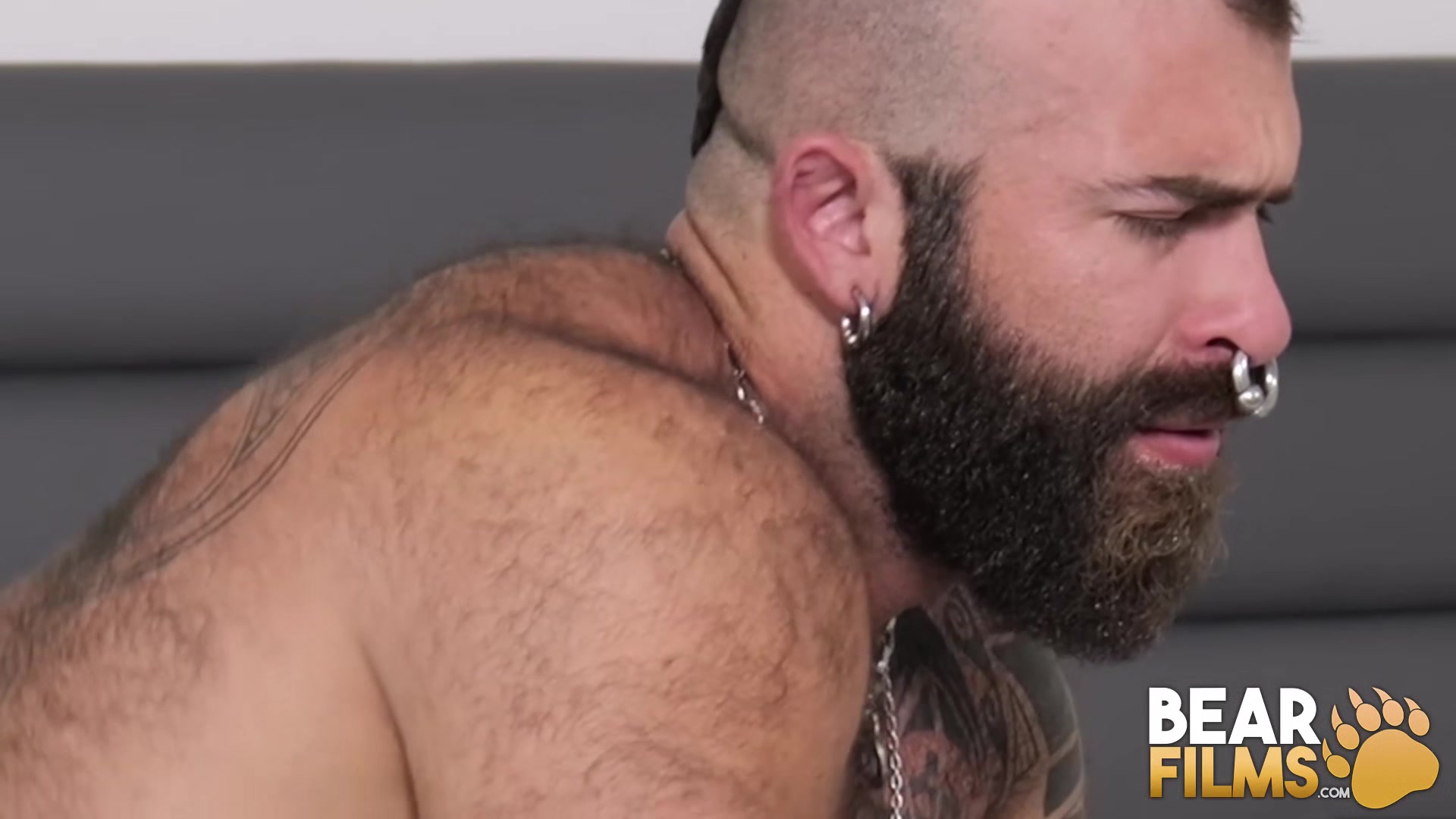 BEARFILMS Bear Mack Austin Dominates And Breeds Pierced Bear