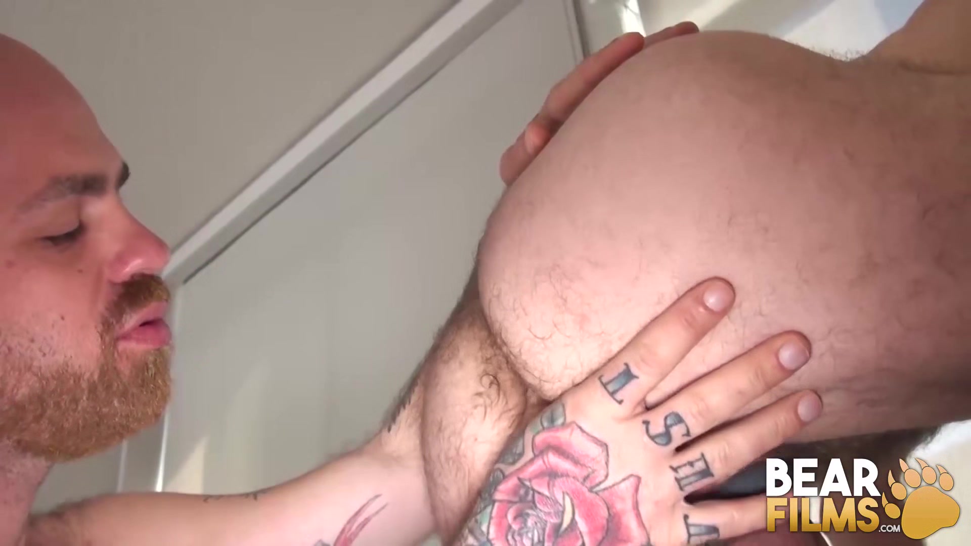 BEARFILMS Hairy Bears Rogue Status And Reid Thrasher Breed