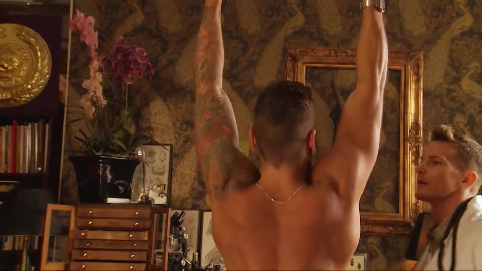 Darius Ferdynand 4