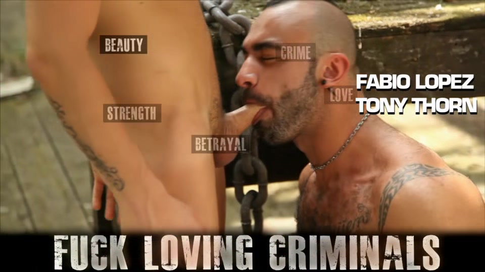 Fuck Loving Criminals, 2 4