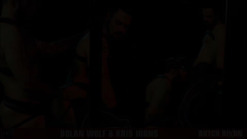 Dolan Wolf