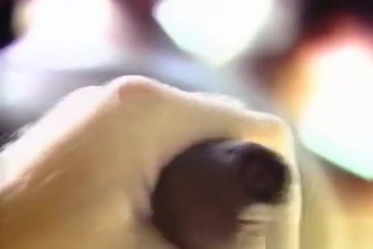 Kinky Bear Gets Visited