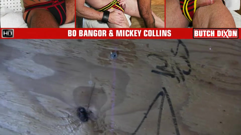 Bo Bangor