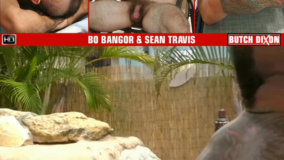 Bo Bangor