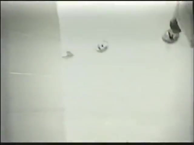 WRESTLERS IN THE SHOWERS LUTTEURS A LA DOUCHES